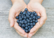 ist1_3835120-handful-of-blueberries