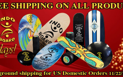 FREE Shipping on Indo Board Balance Gear Up Your SUP Performance