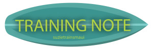 Suzie Cooney special training note for Suzie Trains Maui  