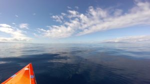 Suzie Cooney stand up paddling with whales Maui Feb 2018